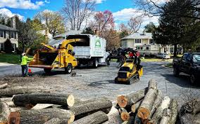 Why Choose Our Tree Removal Services in Ellsworth, ME?